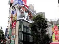 Reklama z japońskiej ulicy !!!!!!!!!