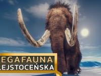Wielkie ssaki epoki lodowej, które żyły w Polsce