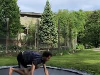 Nieproszony gość wpadł na trampoline