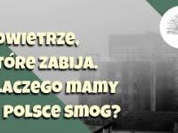 Zanieczyszczenie powietrza - skąd się zimą bierze smog w Polsce?