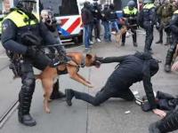 Policja pałuje Holendrów podczas strajku przeciwko restrykcją