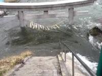 Nigdy wcześniej nieopublikowane wideo z tsunami w Japonii z 2011 roku