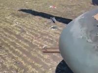 Kolejny śmigłowiec Ka-52 został zniszczony w pobliżu Mykołajewa