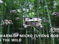 Rój dronów vs bambusowy las