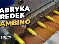 Fabryka kredek i ołówków Bambino - Fabryki w Polsce