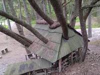 Leśna kaplica promyczkowa - ciekawa konstrukcja w lasach koło Karwi