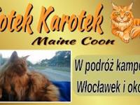 Kotek Karotek w podróży kamperem - Włocławek i okolice.