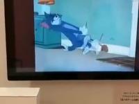 Tom i Jerry na świetnej wystawie w Tokio