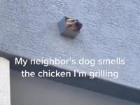 Kiedy sąsiad robi grilla