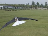 Ornitopter ze sprzężonym z morfingiem wzorem bicia skrzydeł