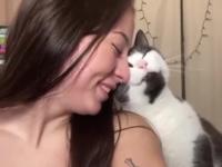 Przytulas z kotkiem