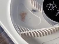 Sokowirówka pułapka na muchy