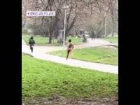 Naga kobieta biegała po wrocławskim parku Tołpy i kąpała się w stawie