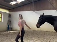Koń, który chodzi na silikonowym pasku