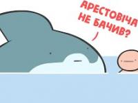 Rekin pożera Ruska – historia „prawdziwa”