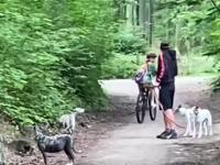 Facet z psami kopie dziecko jadące prawidłowo na rowerze