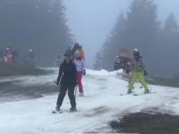 Zimowa jazda na nartach w Niemczech