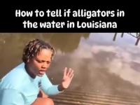 Jak sprawdzić, czy w wodzie jest aligator? Poradnik z Luizjany