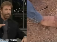 Chuck Norris kontra grzechotnik