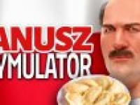 Symulator Janusza