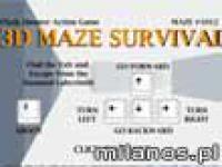 3D Maze Survival
